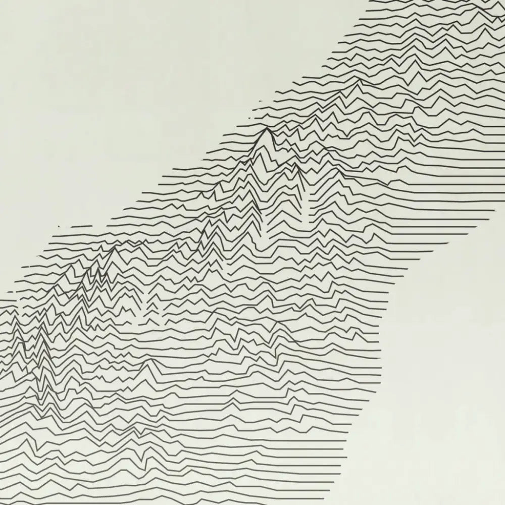 Tineli Ridgeline T Shirt