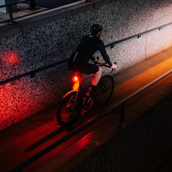 Rear Light